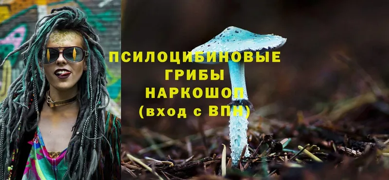 Галлюциногенные грибы Magic Shrooms  Новоульяновск 